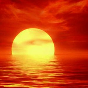 Meet your Posher, Elaina